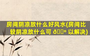 房间阴凉放什么好风水(房间比较阴凉放什么可 🐺 以解决)